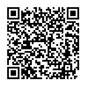 如果刚刚狱寺的攻击不是冲着他的胸腹这样可能会伤到猫的位置的话二维码生成