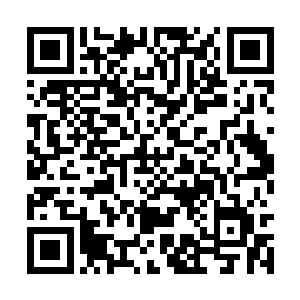 如果刚才罗科王子的攻击直接落在了他的身上的话二维码生成