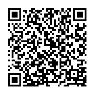 如果前方再来只拦路的强大尸兄……就算是自己一直挑尸兄少的道路逃命二维码生成