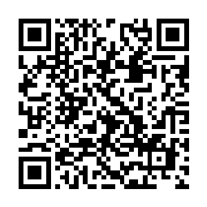 如果加上各种税那么一瓶正宗茅台少不得要近百万二维码生成