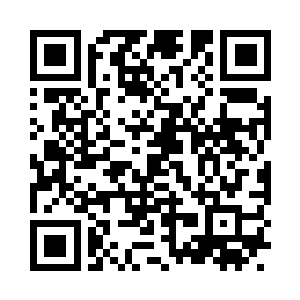 如果单凭沧浪城和南林城两个家族的实力二维码生成