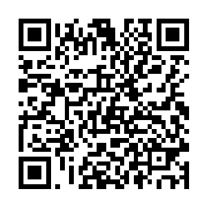 如果单靠他自己是肯定没法供应现在需要的草药量的二维码生成
