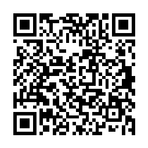 如果叛臣势力的领袖们长时间得不到本体的生命气息二维码生成