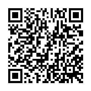 如果古菌进化出了非常适合海底火山环境的结构二维码生成