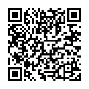 如果只是依靠这等小孩把戏的方法就能将自己斩杀二维码生成