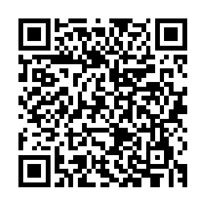 如果只有投资捐款才能在你们学校里找到那么一丁点的位置的话二维码生成