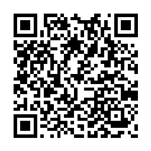 如果可以用芯片对整片秘境实行科技化管理的话二维码生成