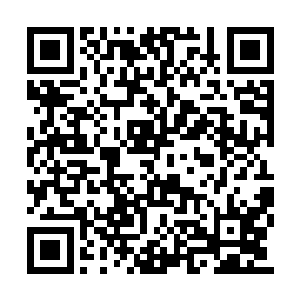 如果因为这株药而出现危及另一个人生命的情况二维码生成