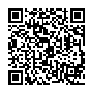 如果在今天输给了一个从来没有在炼丹界出现过的许紫烟二维码生成