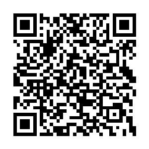 如果在别的地方雪狼还得把俩小家伙哄高兴才行二维码生成