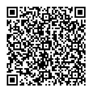 如果堡主大人每次与魔族骑士战斗都习惯抓住对方的一只手或者一只脚让对方在最后关头跑不了二维码生成