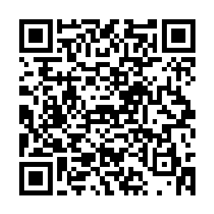 如果大家无论是鲜花收藏还是贵宾盖章神马的给力二维码生成