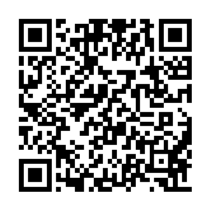 如果天冥子当初不是在天衍大陆损失一只手的话二维码生成