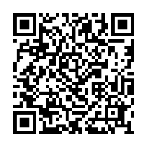 如果太后与皇上真的要您出面主持维新变法事宜二维码生成