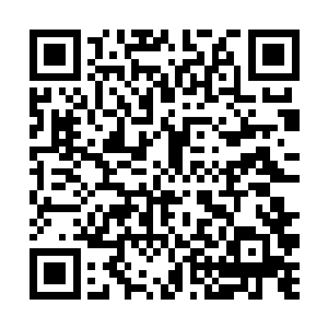 如果夫人愿意可以让我弟弟过来陪着世子爷一起读书二维码生成