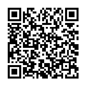 如果她们就王铮绑架她们的事情向法院提出申诉二维码生成