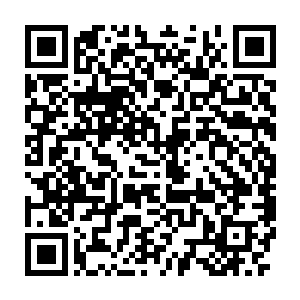 如果她再仔细一点就会看到今天的刘香梨居然破天荒的扎了一条围巾二维码生成