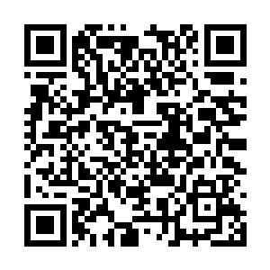 如果她再倒下可能她们两个人都等不到叶秋回来了二维码生成