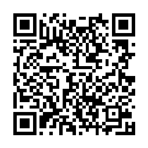 如果如果珠珠现在这具身体的主人也投胎转世的话二维码生成