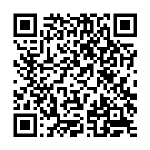 如果它们抱成团一致朝东南西这三个人方向中的任何一个方向跑二维码生成