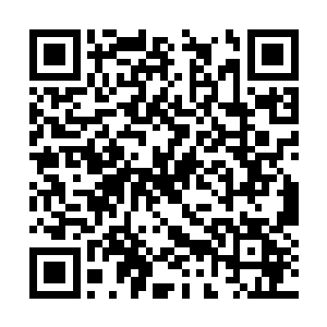 如果它真的是传说中血修之士遗留下来的力量的话二维码生成