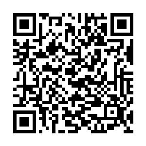 如果实在不行的话他也只能在其他位置多布置一个蝴蝶阵了二维码生成