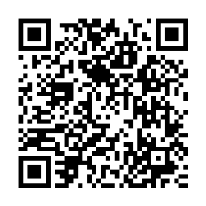 如果对成化斗彩不熟悉可能不知道成化斗彩在瓷器收藏界的地位二维码生成