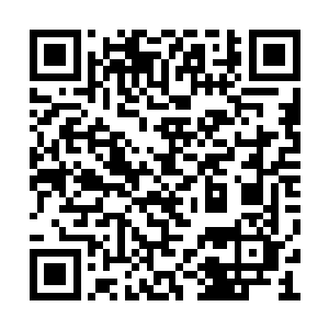 如果对面的打野灵药又注意到自己要来抓自己后二维码生成