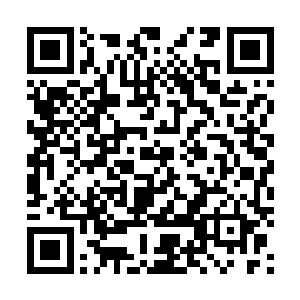 如果寻常就藩边荒说不定就让这少主混个十几年交代过去二维码生成