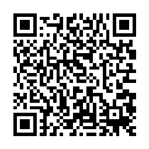 如果就像是果而这样的孩子出生在蒋方舟当初上班的那个医院里二维码生成