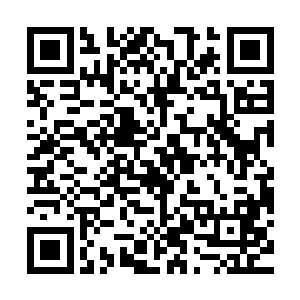 如果就能让我为了避开他而躲在南海深处闭关个十年八年再出来二维码生成