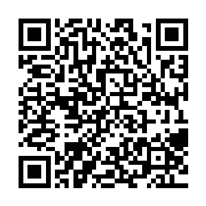 如果崔家的中级神级强者能够先一步突破到高级神级强者的话二维码生成