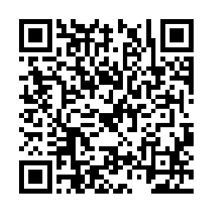 如果巫妖两族真的等我们直达中央神塔才有所动作二维码生成