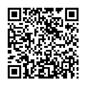 如果巴克和林东被抓住……又或者崔贤姬跑掉……二维码生成