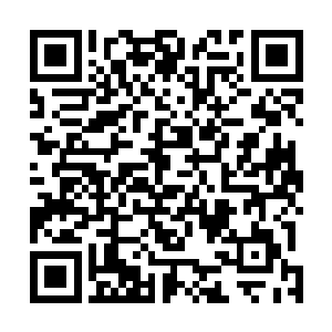 如果幕后之人再在自己飞扑悬崖拯救夏天的时候连续出招二维码生成