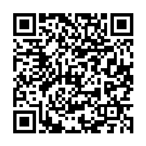 如果张铁面对的真的是一头熊或者是一头别的动物二维码生成