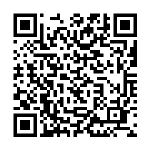 如果当年的我不是年少气盛招惹了一名传奇巫师的话二维码生成