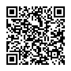 如果当年真的有遗漏在这里估计也是一脉单传了二维码生成