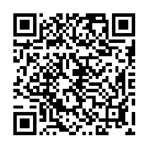 如果您将四百龙人给出去……那就是让他们认人类为主啊二维码生成