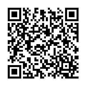 如果我们九原过去也只能待在外面跟你们一起受冻二维码生成