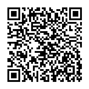 如果我们任由上古许家崛起・将来势必会多出一个瓜分资源的势力二维码生成