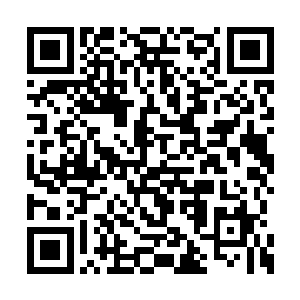 如果我们把这万座大山彻底变成我们的宗门之地二维码生成