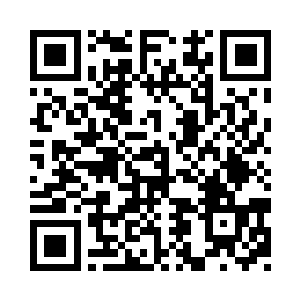 如果我们根据制定计划的情报属实的话二维码生成