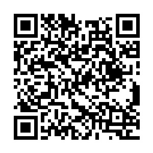 如果我们真的不鞥能够在这次长生大典上出头的话二维码生成