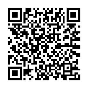 如果我军获得了f-22机体和曙光女神侦察机机体二维码生成