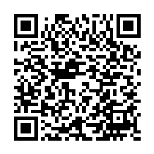 如果我告诉你那一天是他李南霸道地堵住了我你信不信二维码生成