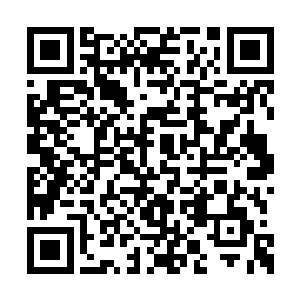 如果我将这枚世界种子镇入自己的体内宇宙的话二维码生成