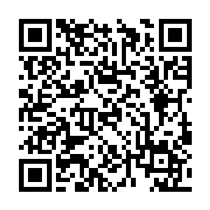 如果我所料不错那个地方现在早已经乱作一团粥了二维码生成