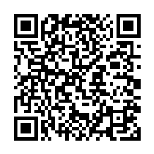 如果我把这个消息告诉家主等于是我背叛了我的家族二维码生成