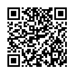 如果我是因为去参加小涛的婚礼从而起势二维码生成